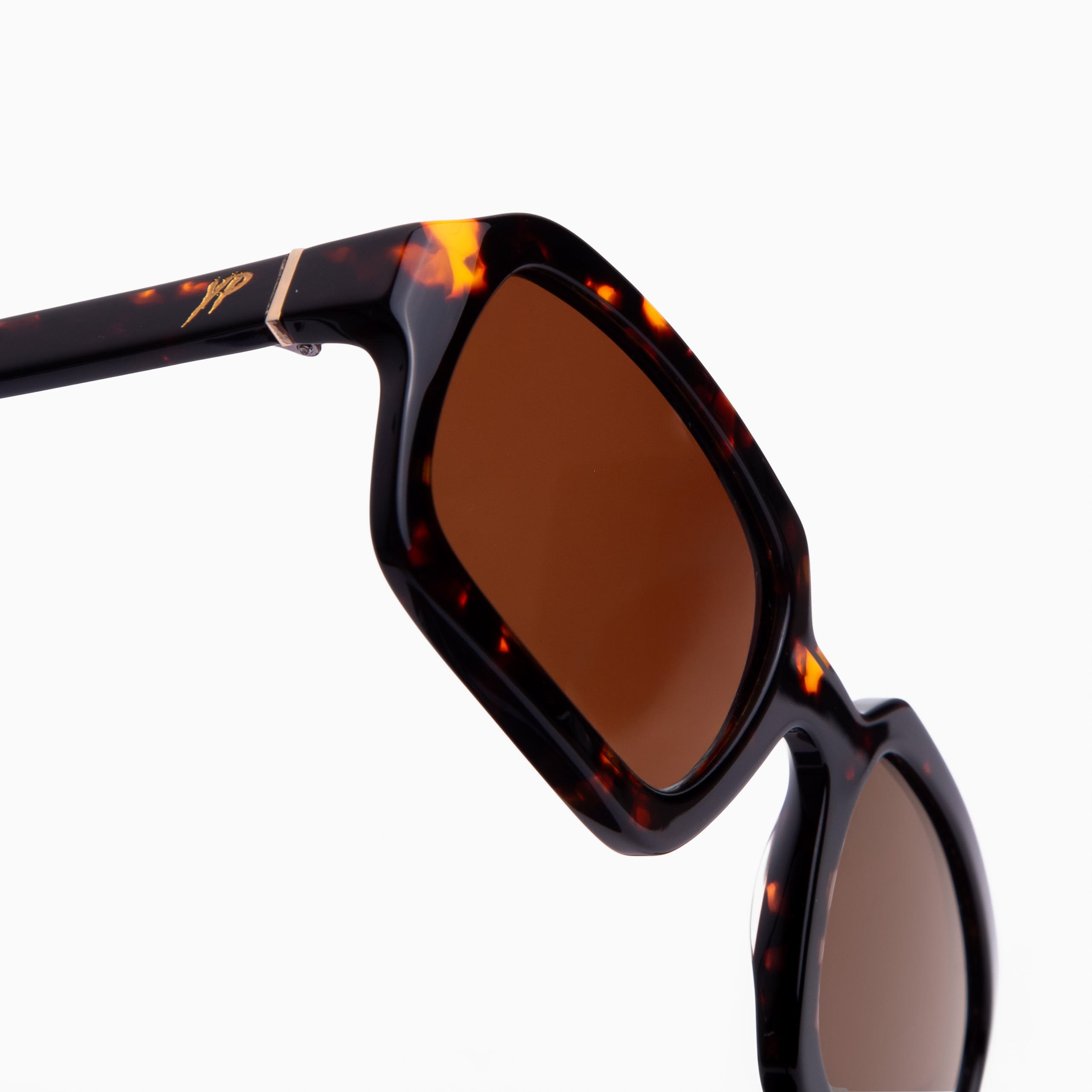 Agnes X Yetus Prime - BEAST TORTOISE